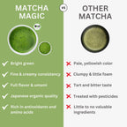 Bio Matcha Latte Mix - Bulk (1kg)